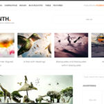 Yaminth Free Wordpress šablona