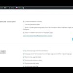 Více jazyčný web pomocí WPML 2. díl Translation Management